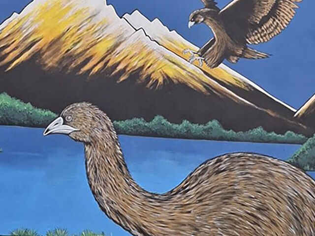 Wellington City - Hopper St & Basin Reserve